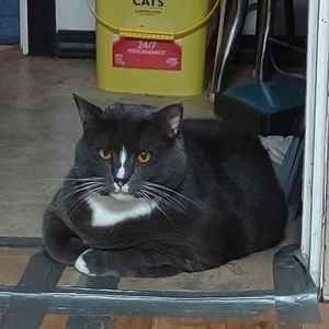 Meet your Posher, Cindy